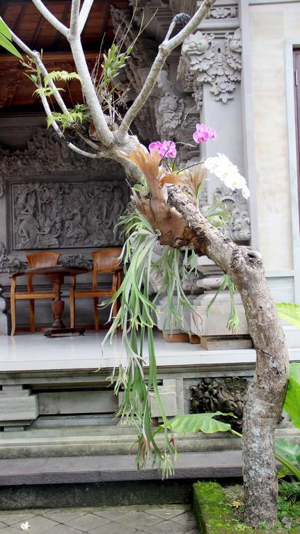 Dag Dig Dug Homestay Ubud Esterno foto